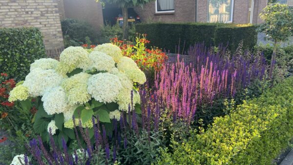 Tuinonderhoud