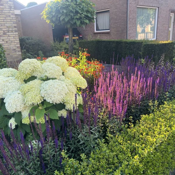 Tuinonderhoud