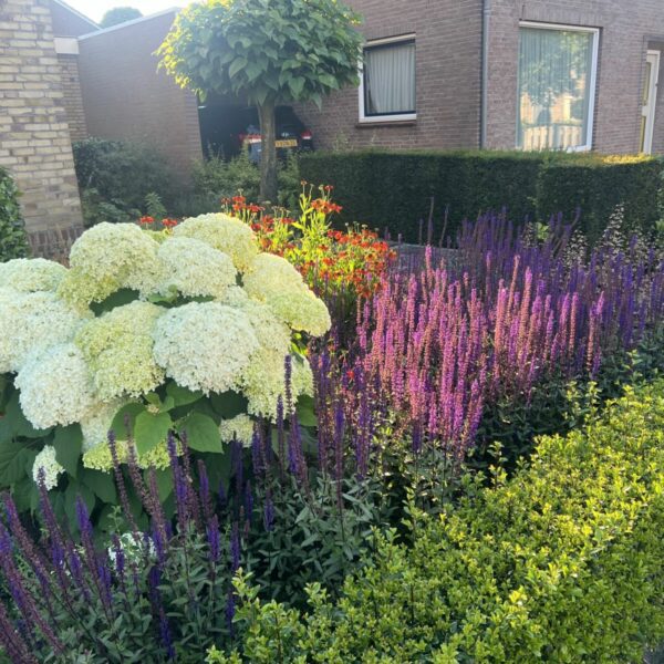 Tuinonderhoud